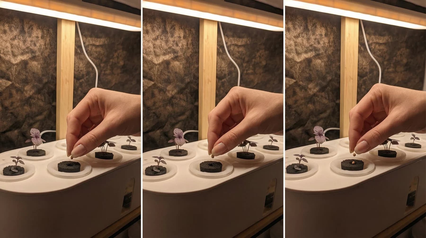 Mastering Your Hydroponic Planter