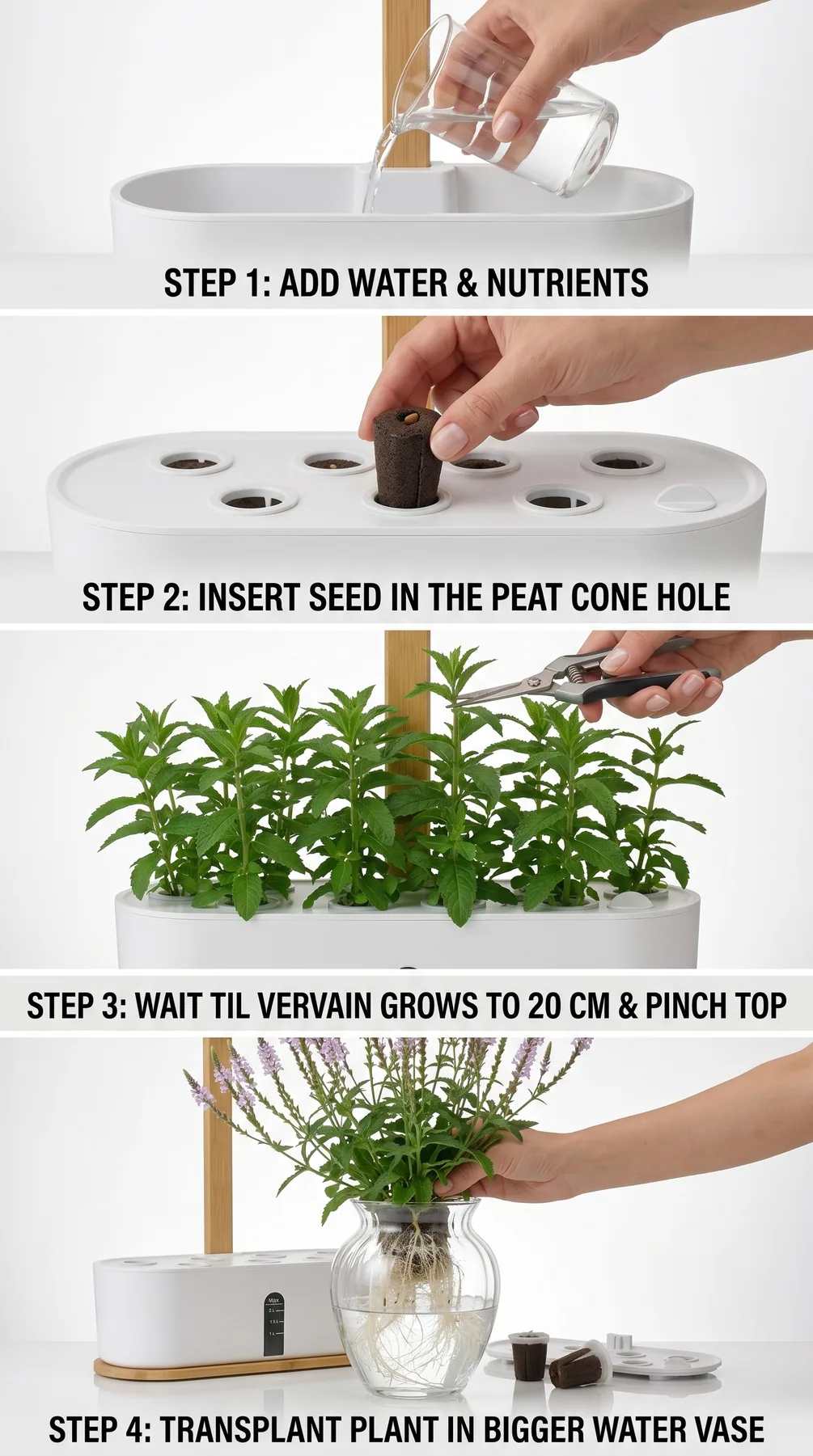 ManorLeaf planter with young vervain seedlings