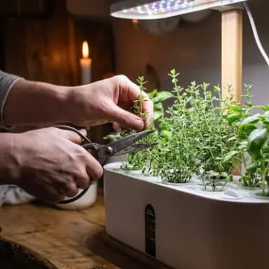 Planter