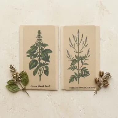 Basil & Vervain