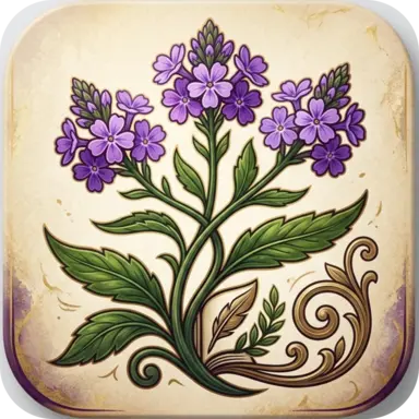Vervain