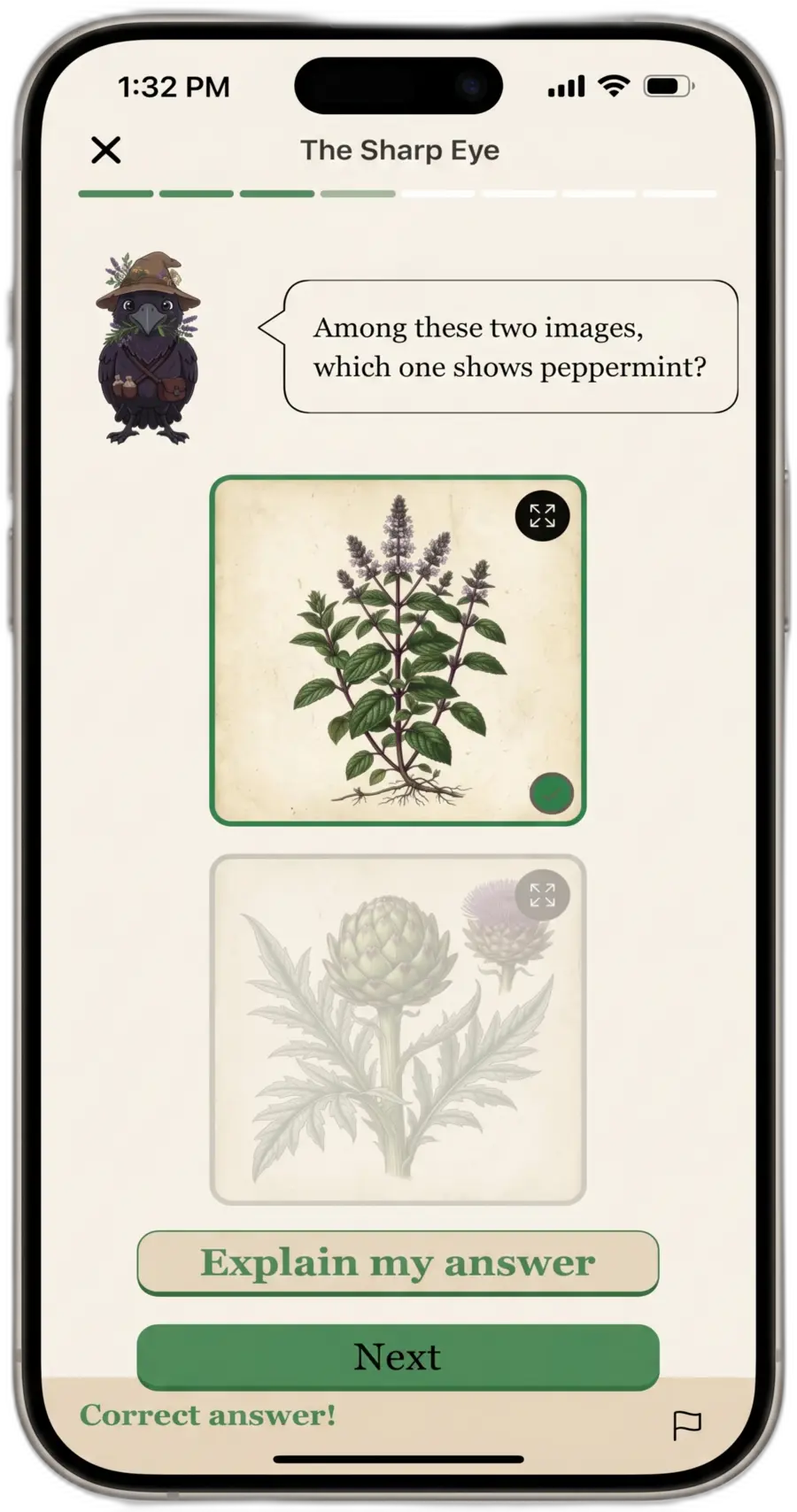 Vervain interactive quiz screen