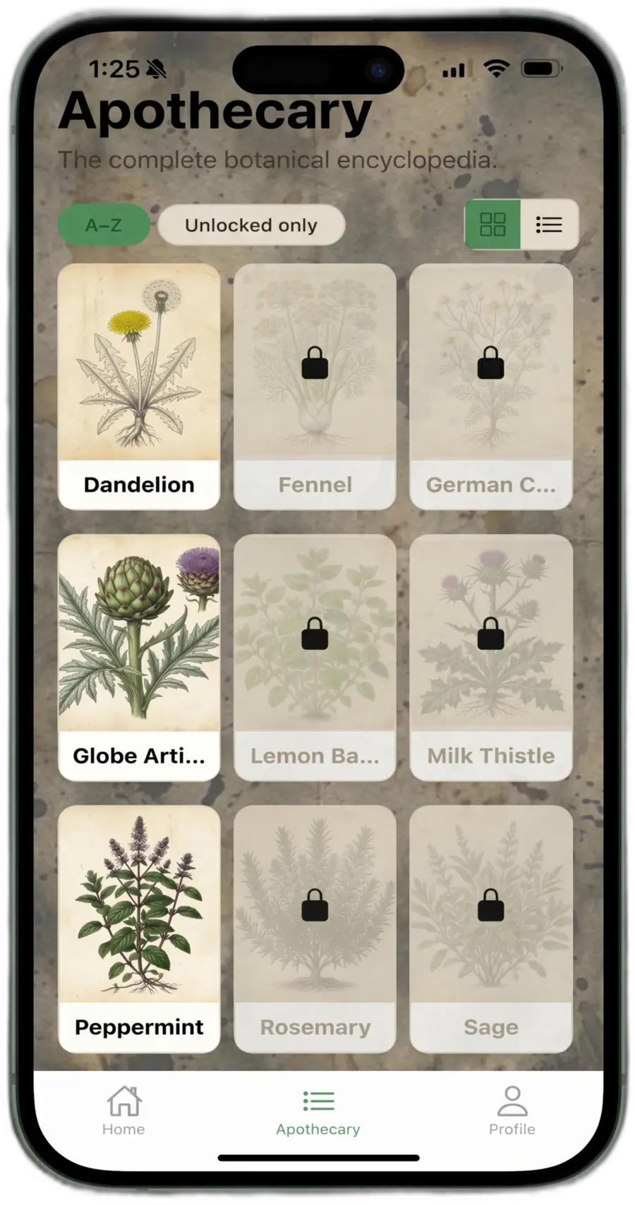 Vervain plant identification screen